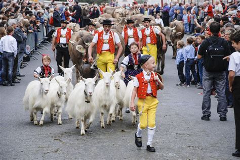 Traditions in Switzerland You Should Know Before Visiting - AlphaZug