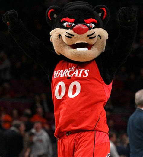 The True Story Behind The Bearcat's Arrest - Down The Drive