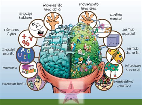 Hemisferios Cerebrales | Mind Map