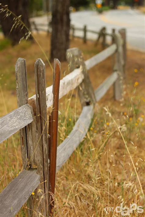 A Broken Fence