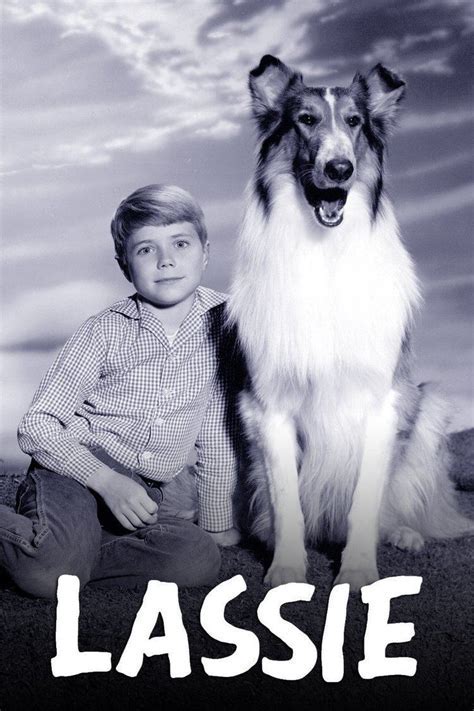 Was Lassie Ever Called Jeff'S Collie