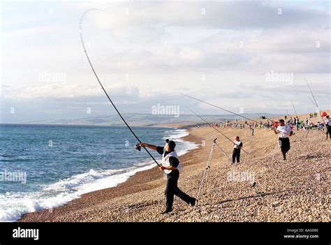 Beach fishing at Chesil Beach in Dorset Britain UK Stock Photo: 2326661 - Alamy