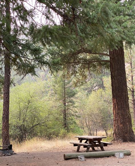 Explore Oregon at These 4 Ochoco National Forest Camping Spots