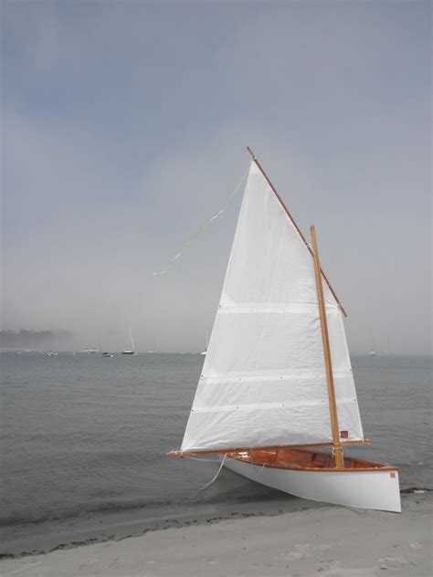 Goat Island Skiff, designed by Michael Storer | Sailing dinghy, Small sailboats, Sailboat yacht