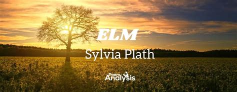 Elm by Sylvia Plath - Poem Analysis