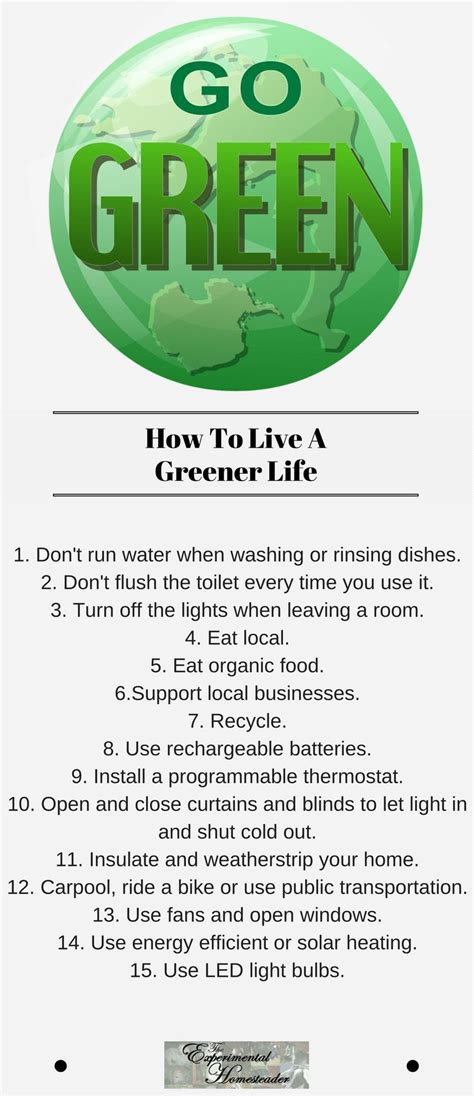 How To Live A Greener Life | Green life, Green living tips, Life