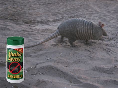 Armadillo Repellent - What deterrent works?