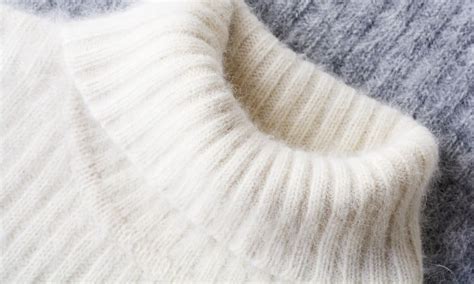 Wool vs. Fleece: What's The Difference? Which Is Better?