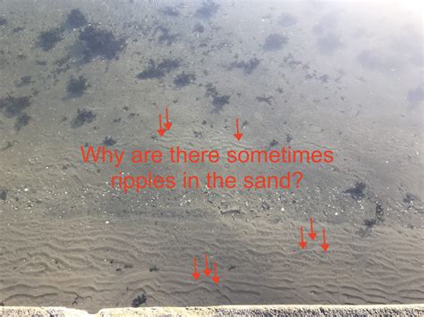 Sand ripples. Why do they form in the exact way they do? - Adventures ...