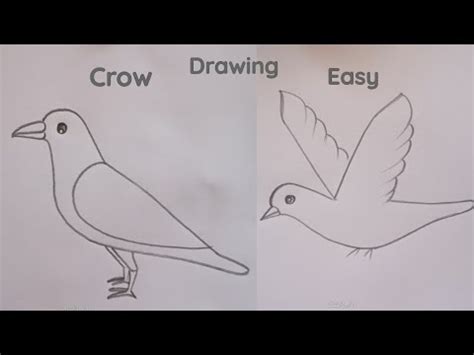 how to draw crow drawing and crow flying easy step by step@DrawingTalent - YouTube