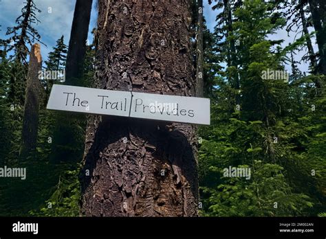 Trail magic signs on the Pacific Crest Trail, Oregon, USA Stock Photo - Alamy