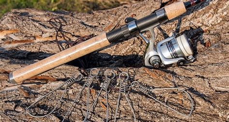 Finding The Best Bass Fishing Rods for Your Budget