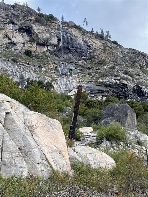 Hiking Hetch Hetchy: Waterfalls, Wildflowers and Old Trails | Sierra News Online