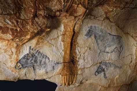 Paleolithic Art - Exploring the History of Cave Paintings