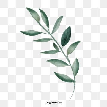 Watercolor Leaves PNG Transparent Images Free Download | Vector Files ...