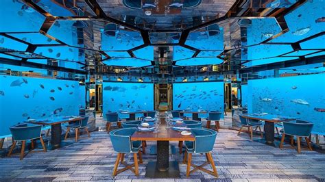 Underwater restaurant in the Maldives | Surreal fine dining experience | สรุปเนื้อหาที่อัปเดต ...