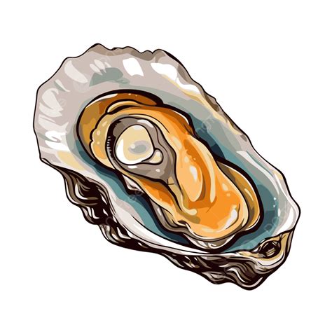 Oyster Clipart Drawing Of Fresh Oyster Isolated On A White Background ...