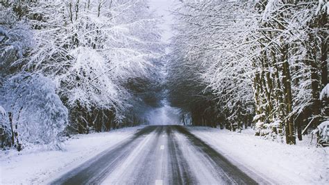 On the first day of snow Longfaye Belgium (Photo credit to Albert Dehon) [3840 x 2160) | Winter ...