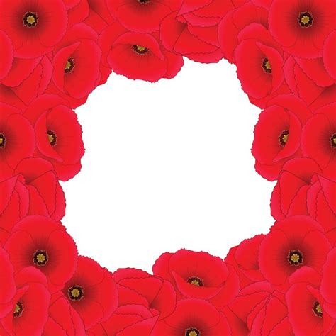 Red Corn Poppy Border2 5122867 Vector Art at Vecteezy