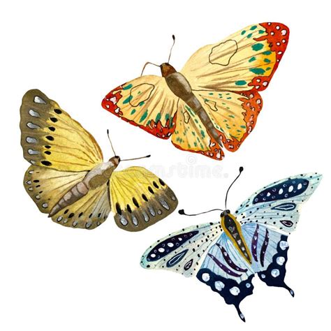 Blue Orange Yellow Butterfly a Watercolor Sketch Stock Illustration - Illustration of isolated ...