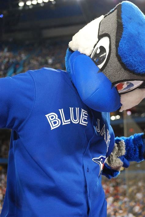 Toronto Blue Jays mascots - Alchetron, the free social encyclopedia