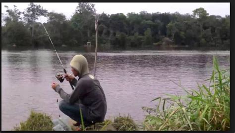 Gambar Orang Mancing Di Sungai – pulp