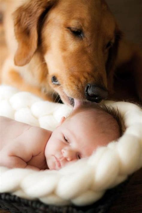 45 Cute Pictures Of Babies And Dogs - Greenorc