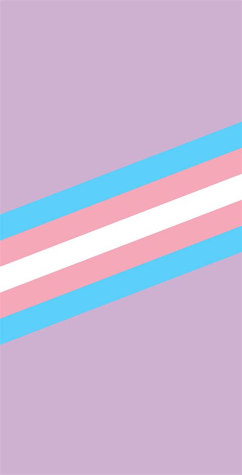 Transgender Flag Wallpaper