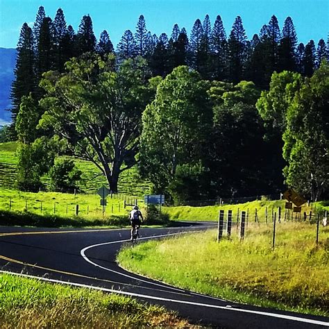 Haleakala Bike Tour - Maui Sunriders Bike Co.