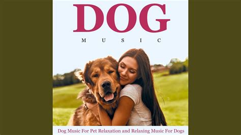 Piano Music for Dogs - YouTube