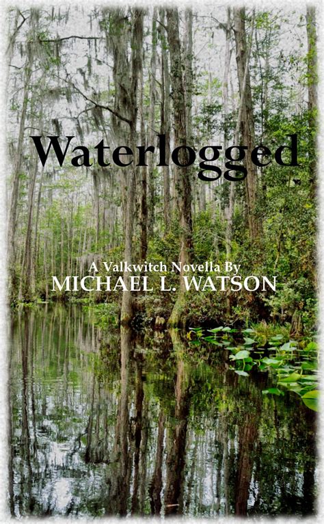 Amazon.com: Waterlogged (The Valkwitch Saga) eBook : Watson, Michael ...