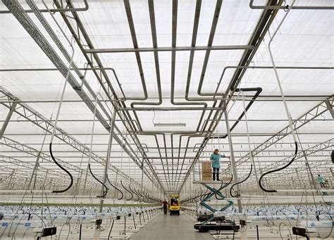 Industrial greenhouse Photograph by Science Photo Library