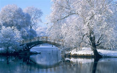 Winter Scenery wallpaper | 1280x800 | #69067