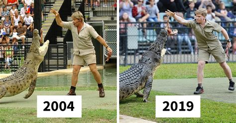 11 Pictures Showing The Similarity Between Steve Irwin And His Son ...