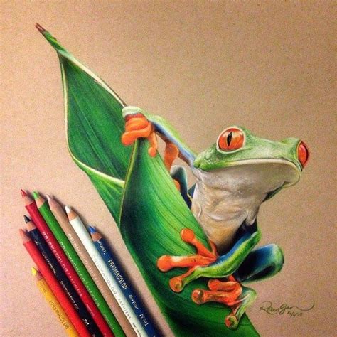 Color Pencil Drawing Animals - 50+ Inspiring Color Pencil Drawings Of Animals By Katy Lipscomb ...