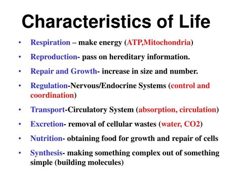 PPT - Characteristics of Life PowerPoint Presentation, free download ...