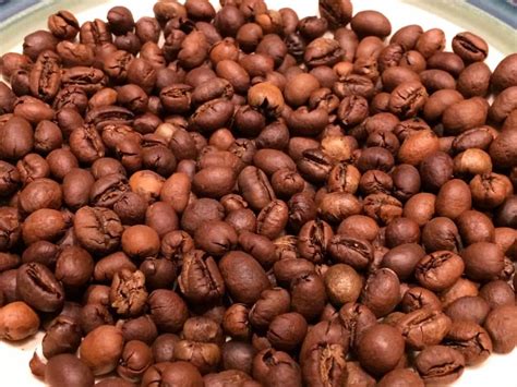 What’s The Difference Between Arabica And Robusta Coffee Beans? - Pure Kopi Luwak