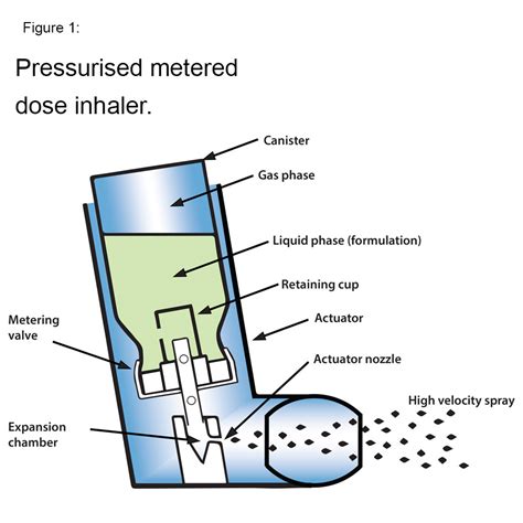 [DIAGRAM] Diagram Of Parts Of An Inhaler - MYDIAGRAM.ONLINE