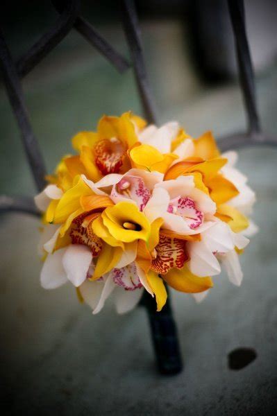 Bouquet Bridal: Yellow Orchid Bouquets