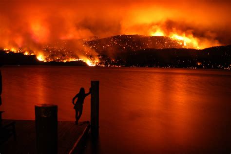 Some women just want to watch the world burn | Forest fire, Wild fire, Fire