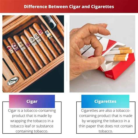 Cigar vs Cigarettes: Difference and Comparison