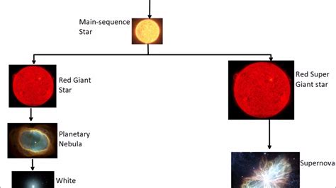 Life Cycle of a Star | GCSE Science | Physics | Get To Know Science ...