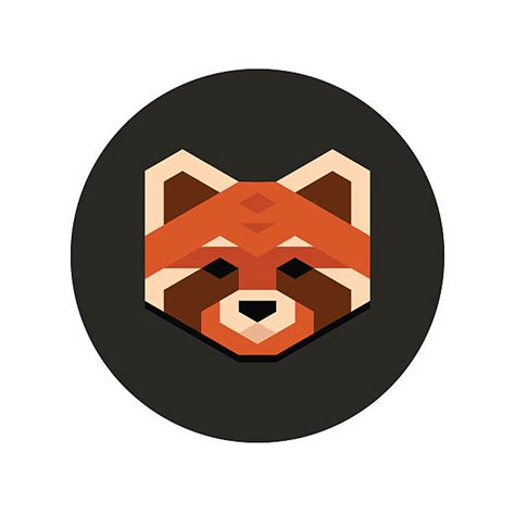 Best Red Panda Illustrations, Royalty-Free Vector Graphics & Clip Art - iStock