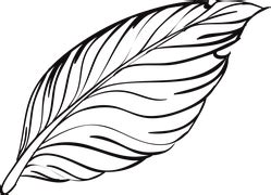 Free vector graphic: Feather, Write, Author, Ink - Free Image on Pixabay - 608956