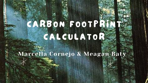 Carbon Footprint Calculator | Devpost