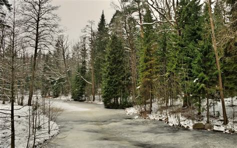 Calm river wallpaper - Nature wallpapers - #35782