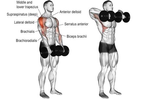 Dumbbell High Pull (A guide for bodybuilders)