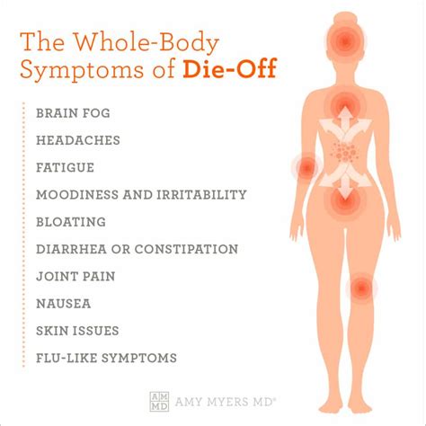 Die-Off & How to Avoid It | Amy Myers MD