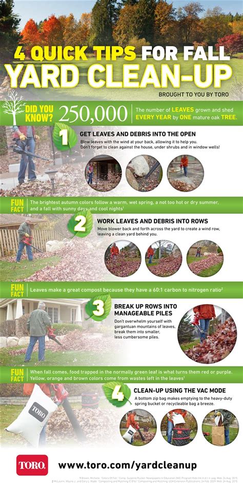 Tips for fast fall yard clean-up [Infographic] – Baltimore Sun