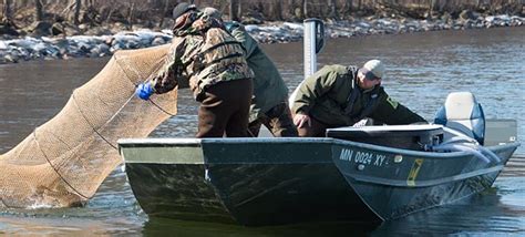 What would you like to see MN DNR Fisheries Department do for fishing ...